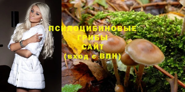 МДМА Арсеньев